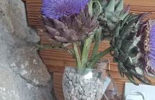 Les Jardins de Castelange - Foto 11