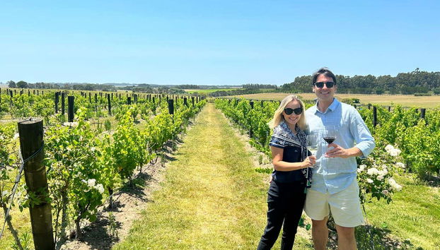 Tour privado de viñedos y bodegas - Foto 3