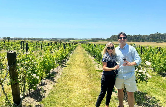 Tour privado de quesos y vinos por Punta del Este - Foto 8