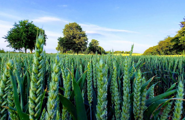 4 Star Holiday Home in Borre - Foto 9