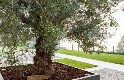 Guest house Neive - Foto 46