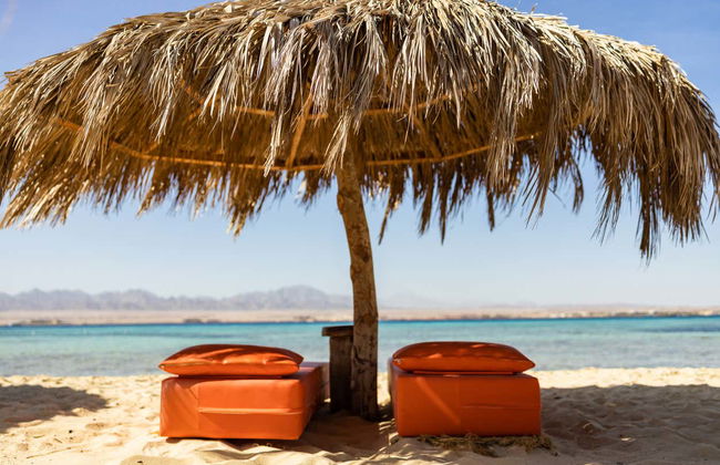 Utopia Island Excursion - Photo 7