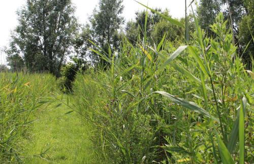 Ferienwohnung Lumme - Foto 14