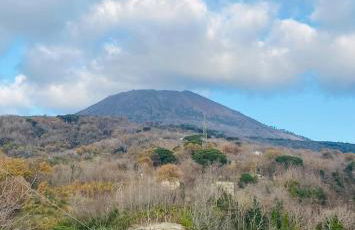 Domus Agricolae Corallina - Foto 2