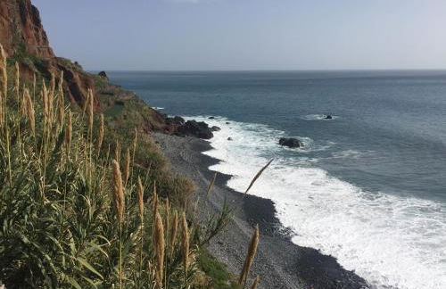 Mango House - Foto 54