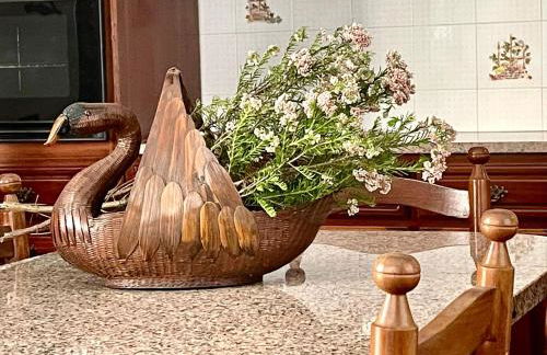 Casa Às Oito - Photo 9