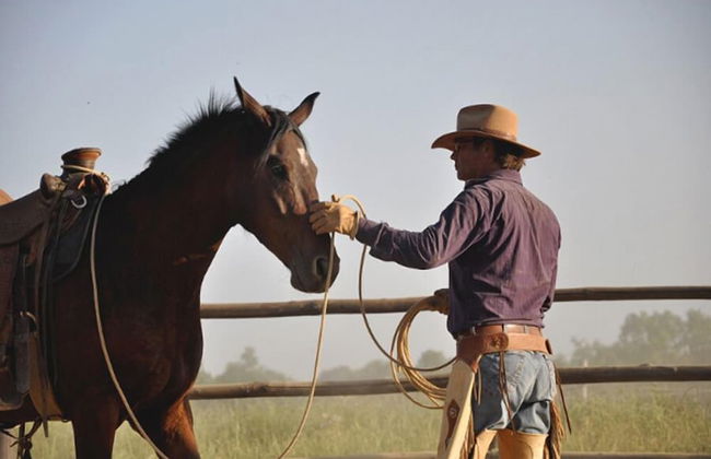 Montelucci Country Resort & Agriturismo di Charme - Foto 31