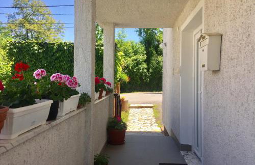 Apartment Garden - Foto 14