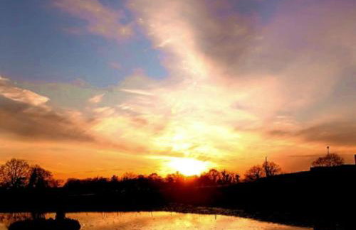 Shepard's Delight - Foto 25