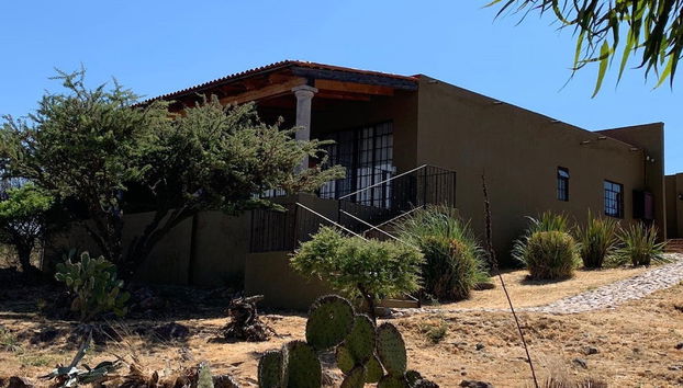 Terraço/pátio interior