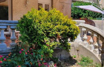 La casa de Margarita y Sisco, Villa avec piscine - Foto 73