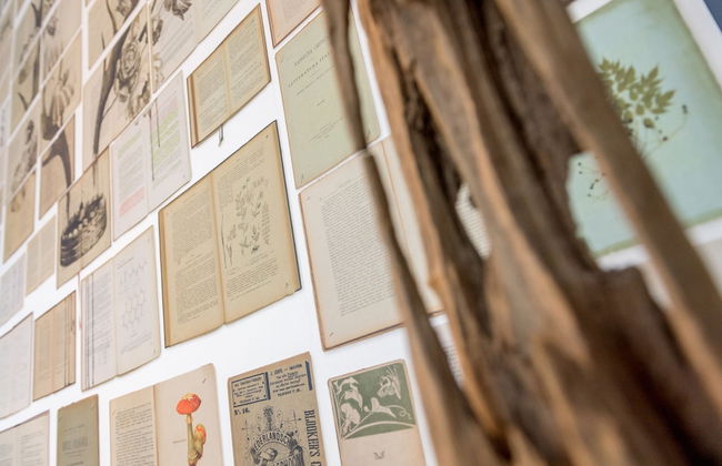 Smartflats Design - Postiers - Foto 5