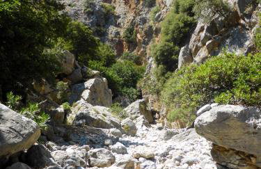 Cinnamon House in Kritsa - Foto 16