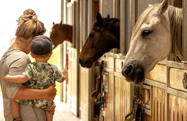 Agriturismo Podere Diacceroni - Foto 49