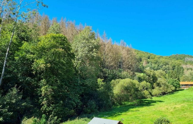 Cosy Holiday Home in the Harz Region - Foto 73