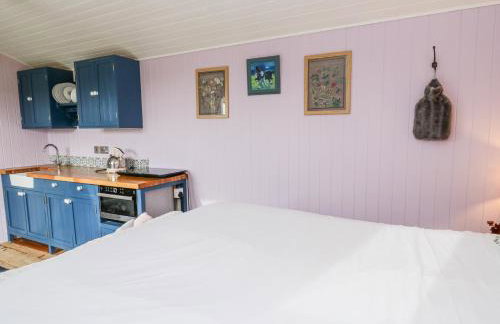 Brondel Luxury Shepherd's Hut - Foto 11