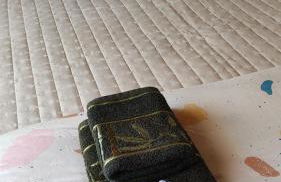 Paineiras Pousada Rural - Foto 6