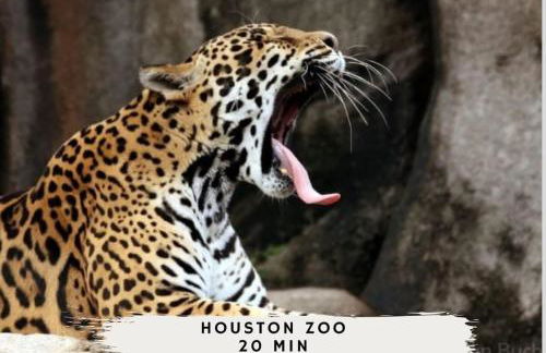 Stunning Modern Dream Home w Pool Grill Foosball - Foto 42