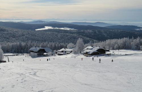 Aotearoa - Mountain apartment in Bavaria, Mitterdorf - Mitterfirmiansreut - Foto 33