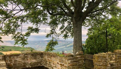 Casale Rustico ColleBello - Foto 5