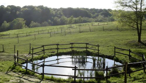 Gite Le Pré Des Colombes - Foto 3