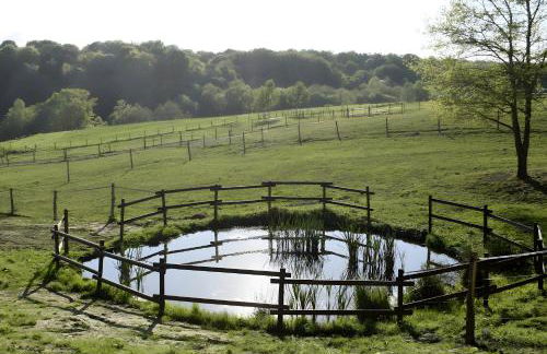 Gite Le Pré Des Colombes - Foto 3