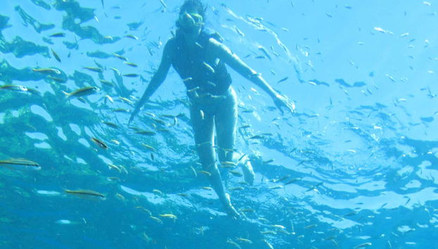 Pronti per l'immersione