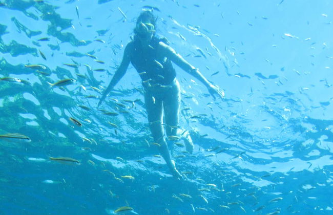 Snorkeling à Praia do Cachorro - Photo 5
