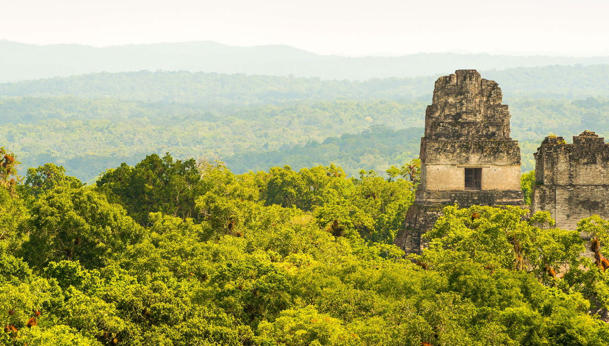 Excursión privada desde Flores