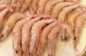 ESTUDIO CON PISCINA Y GARAJE A 100 Mtr DE LA PLAYA - Foto 32