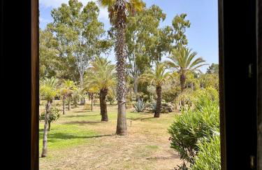 Pineto, villa 3 chambres au coeur de la pinède - Foto 19