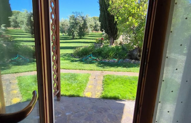 Agriturismo Il Migliarino - Foto 7