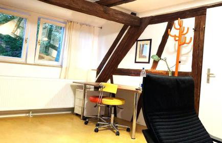 Alte Schmiede Ellrichshausen 1 - Foto 5