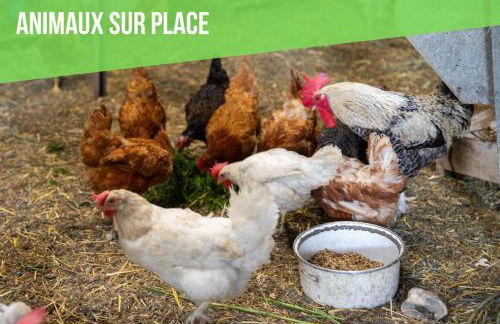 Chez Marguerite Gîtes à la ferme - Foto 20