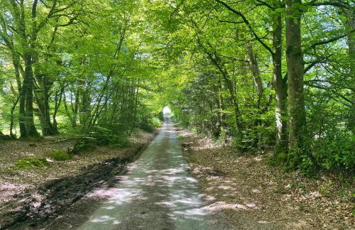 Bunts Barn - Photo 33