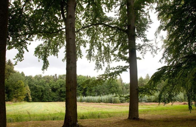 Apartment With Views of the Ore Mountains - Foto 24