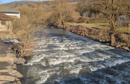 Ferienhaus Pauline am Glan - Foto 3