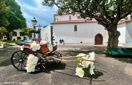 Amazing SEA LIGHT Apartment, close to the beach. - Foto 36