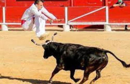 Gite La Saubolle à Marciac - Photo 40