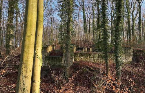 Ferienwohnung in Bissendorf - Foto 65