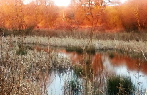 Watercress Barns - Photo 59