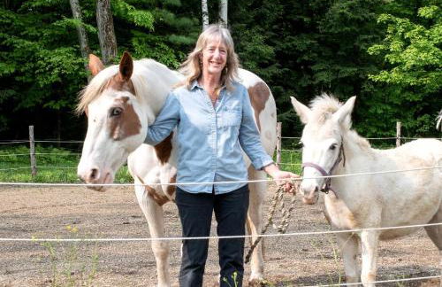 Luxury Yurt Rental Hidden in the Forest near Bristol, Vermont - Foto 23