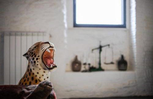 Vintage House in centro storico Basilicata Puglia - Foto 17