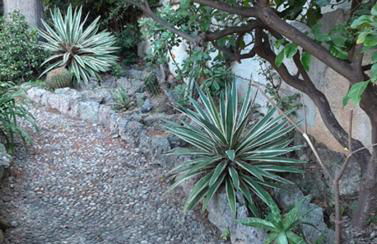 Casa Gazzano - Photo 44