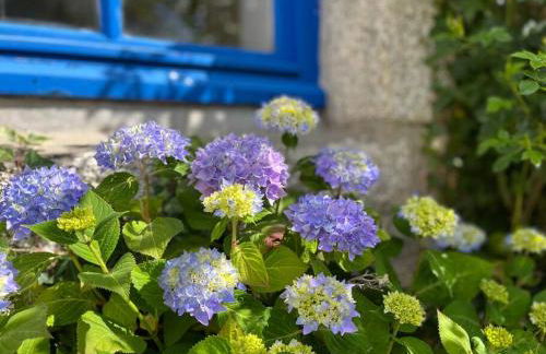 Gîte du Placello, piscine jacuzzi et sauna - Foto 38