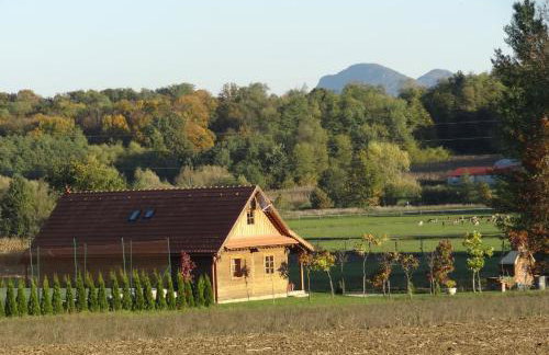 Old Oak House with pool - Foto 10