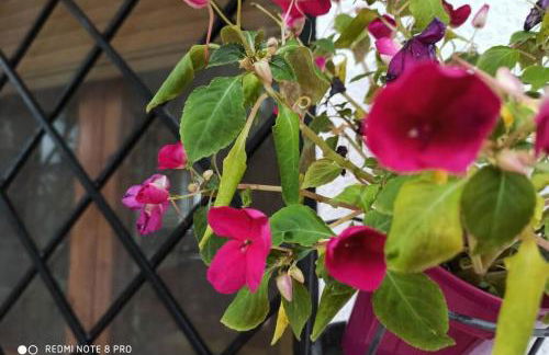 Apartamento Can Giru - Foto 21