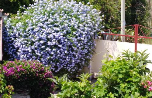 Villa Eleonora - Photo 30