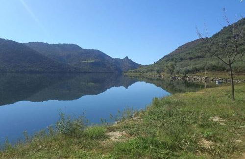 Casa de Freixo - Foto 42