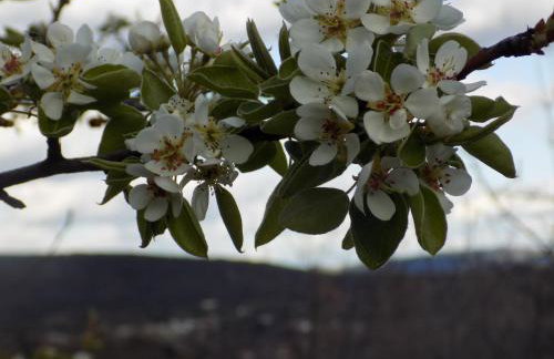 Casa Rural Generoso - Foto 69